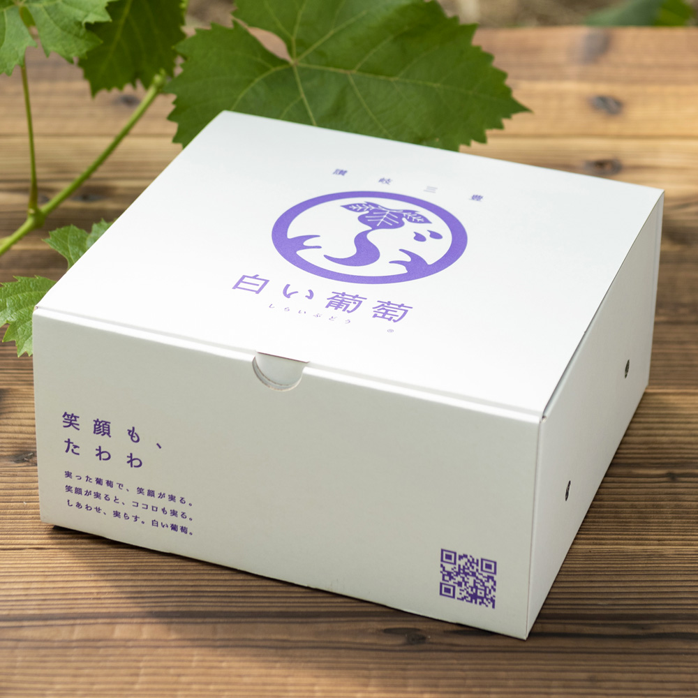 予約受付中】【数量限定】シャインマスカット×季節の黒系ぶどう 各1房