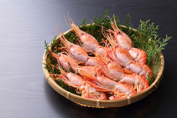 ボタンエビ　卵なし（500g）