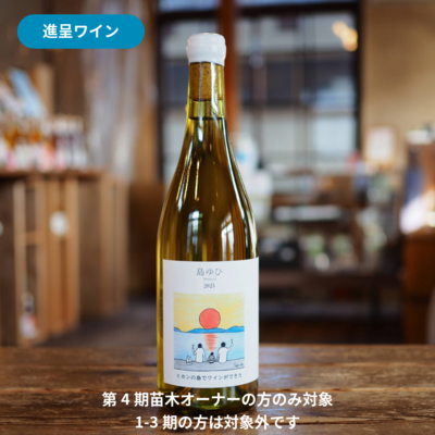 苗木オーナー様向け商品 | 大三島みんなのワイナリー