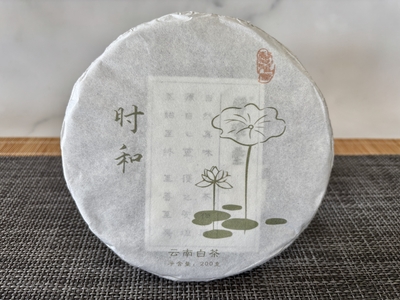 雲南白茶　時和 2025 餅茶(約200g)