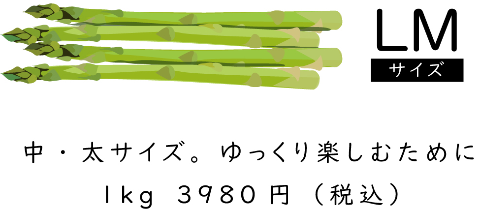 朝採りアスパラガス LMサイズ 1キロ ｜ 東京産アスパラガス 練馬区