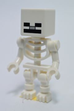 F3929 Skeleton(#21593)