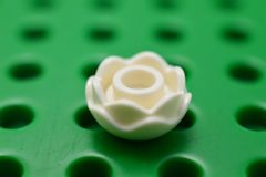 %5904 花[白](バラ)