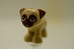 %24111 パグ[タン]