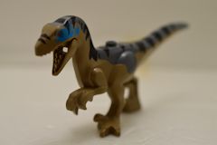 ヴェロキラプトル[ダークタン](#76972)