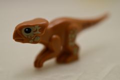 %7296 アクイロプスの子[黄褐色]