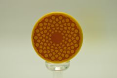 %4150 タイル[黄色]2x2(円、花)