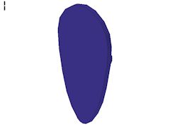 %2586 盾[青紫](卵形)