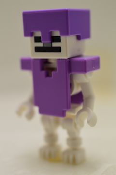 F8173 Skeleton(#21586)