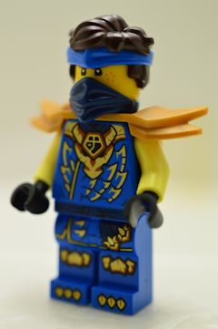 F8222 Jay(#71862)