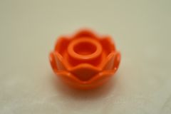 %5904 花[オレンジ](バラ)