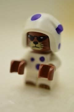 F8284 Mr. 13(#75644)