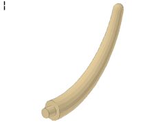 恐竜の尻尾[タン](先端)