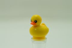 %49661 アヒル[黄色]