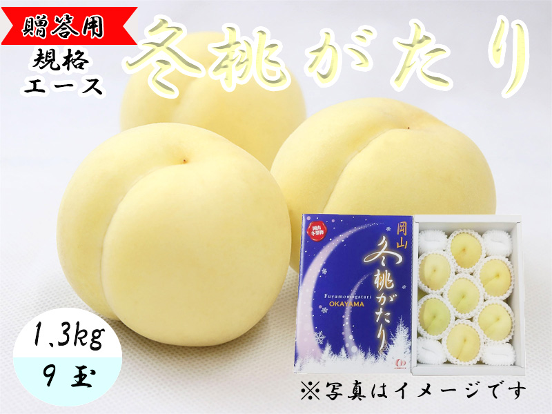 岡山の桃(冬桃がたり）1.3kg【岡山県吉備路産】 | 晴れの国岡山オンライン