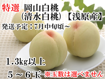 【特選】岡山白桃（清水白桃）【倉敷市浅原産】