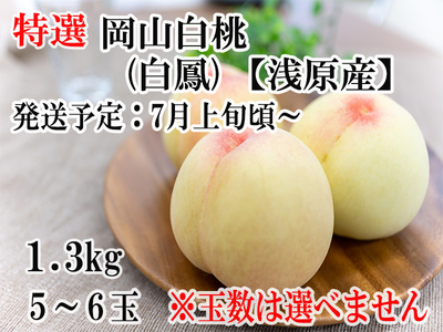 【特選】岡山白桃（白鳳）【倉敷市浅原産】