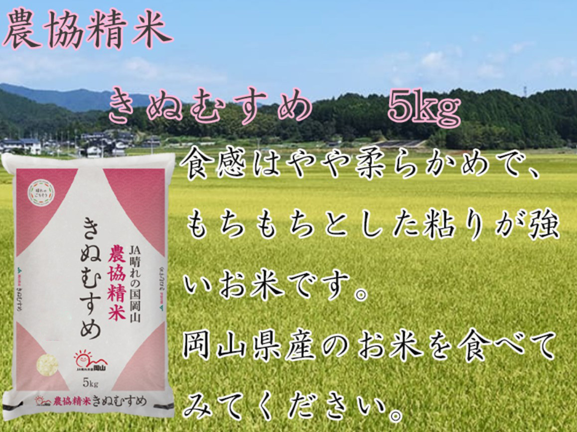岡山県産きぬむすめ