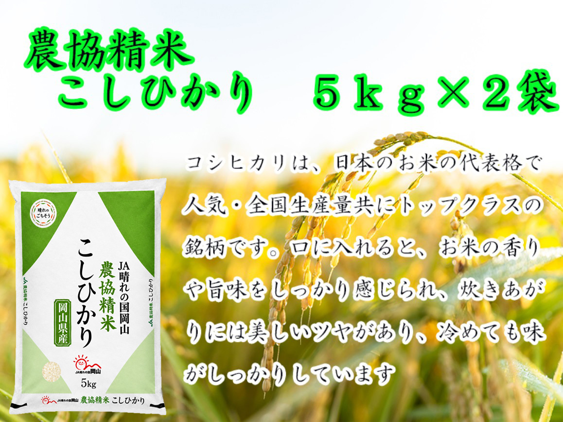 令和8年産】農協精米 コシヒカリ5kg×2袋 【精米】岡山県産 | 晴れの