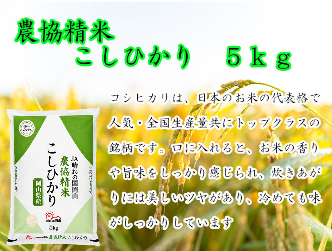 令和8年産】農協精米 コシヒカリ 5kg【精米】岡山県産 | 晴れの国