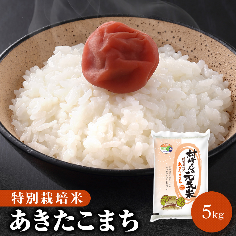 特別栽培米 5kg 秋田県大潟村産 あきたこまち 送料無料【※沖縄配送不可