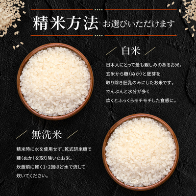 特別栽培米 5kg 秋田県大潟村産 あきたこまち 送料無料【※沖縄配送不可