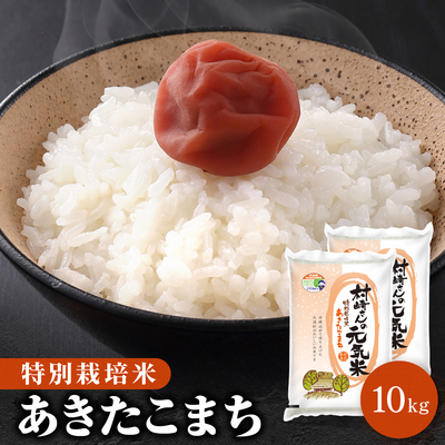 ライス秋田 - らくうるカート