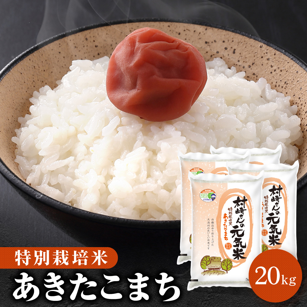 特別栽培米 20kg 秋田県大潟村産 あきたこまち 送料無料【※沖縄配送