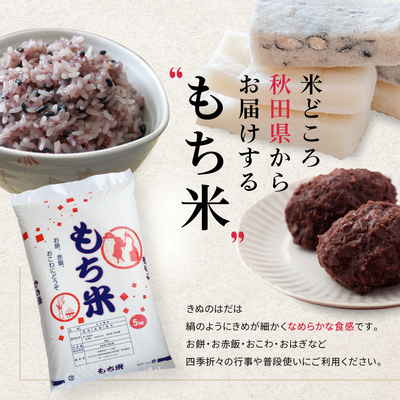 もち米 10kg 秋田県産 きぬのはだ 送料無料【※沖縄配送不可】 | ライス秋田