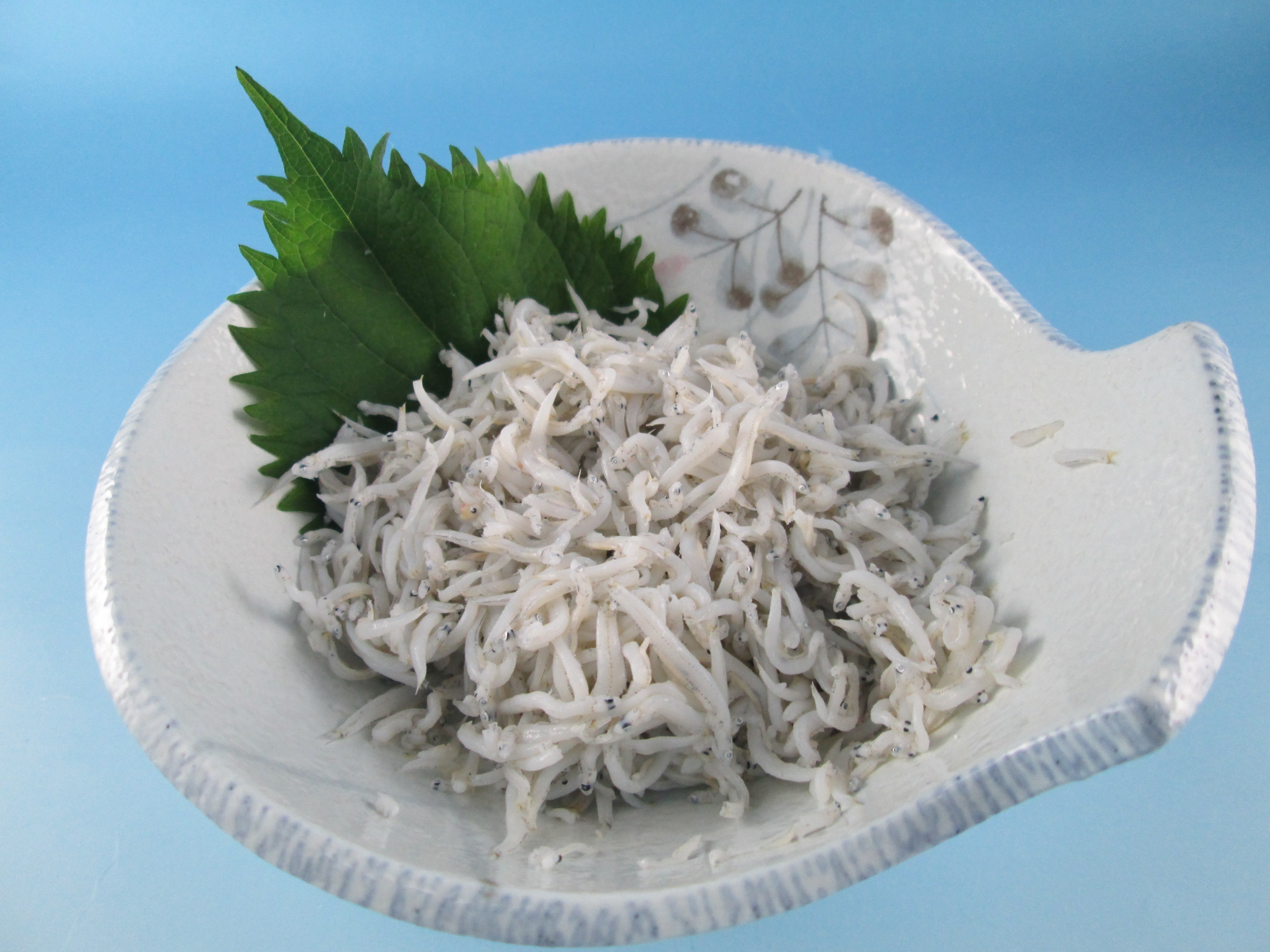 国内産 しらす干し100g | 三陸水産有限会社