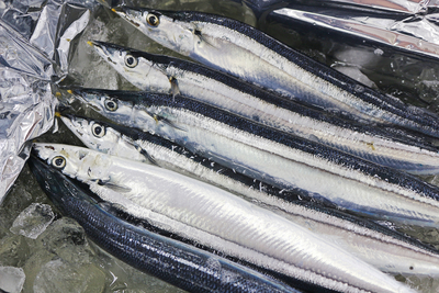 【同梱不可】直送！新鮮生さんま2kg（13尾前後）【送料込み】