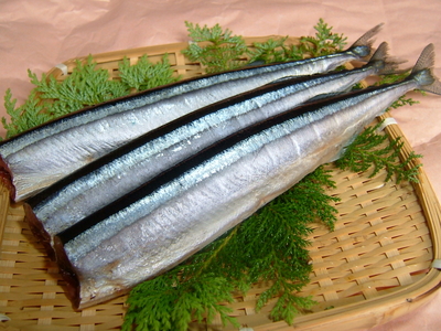 下ごしらえ済みさんま 2尾