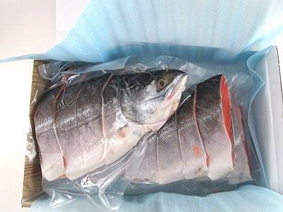 特上有頭時鮭切身 （1尾分）約1.7kg