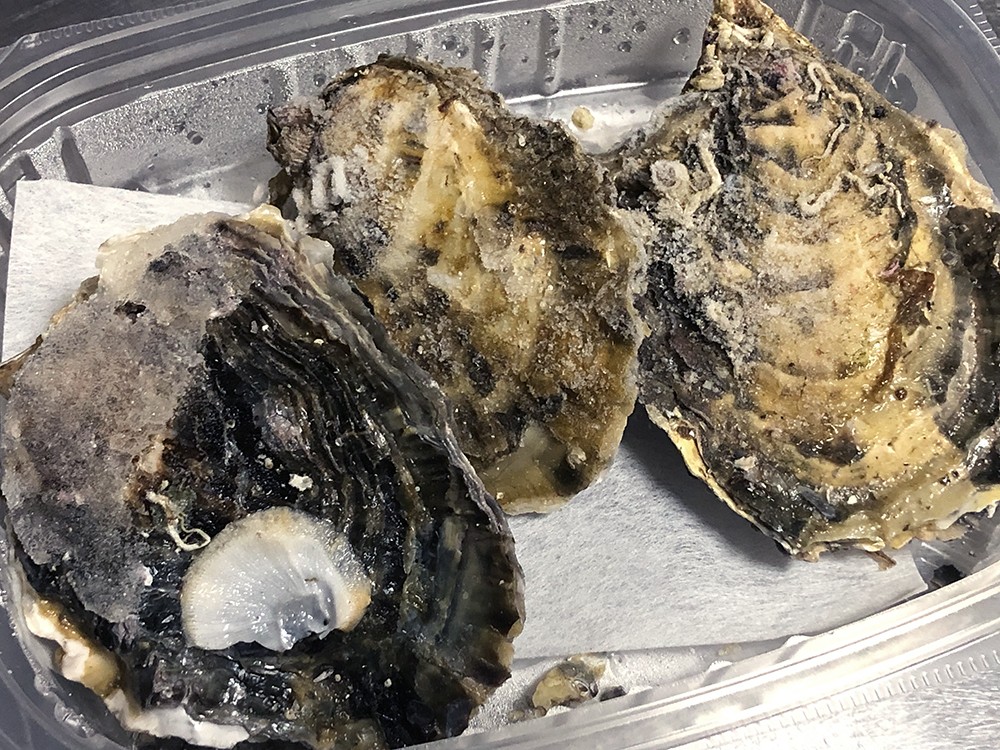 レンジで簡単 三陸産殻付き牡蠣 3個 三陸水産有限会社