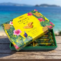 石垣島パインタルトレット（10枚入り）