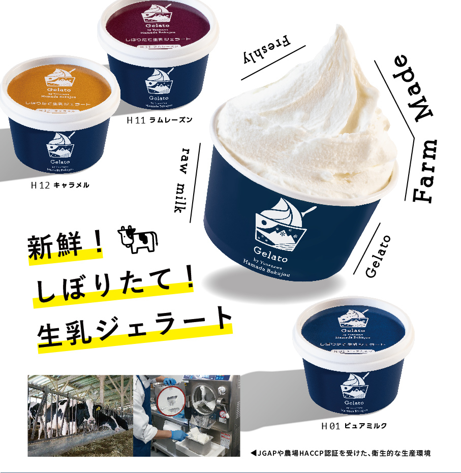 米沢はまだ牧場／しぼりたて生乳ジェラート3種8個セット【冷凍