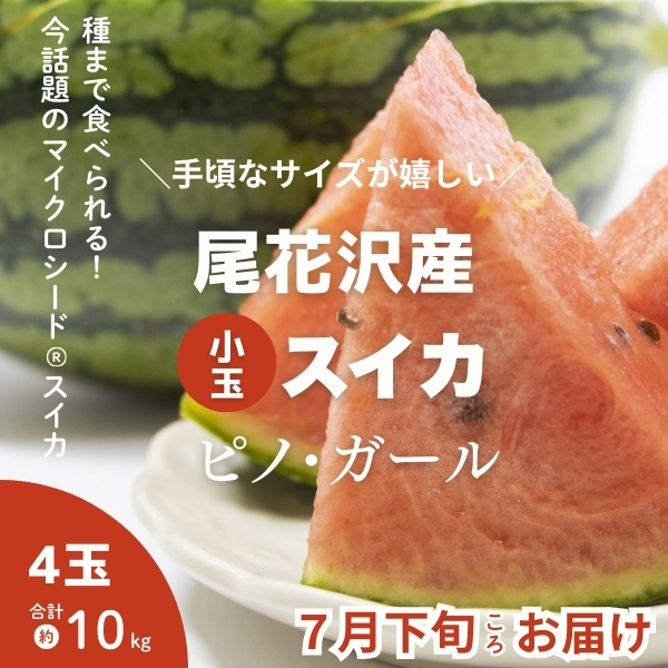 予約販売【尾花沢産】小玉スイカ「ピノ・ガール」／4玉 約10kg | 上杉