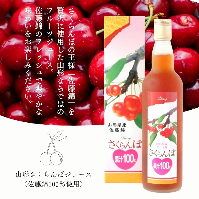さくらんぼ 極旨さくらんぼ佐藤錦約500gきれい詰2Lサイズ以上