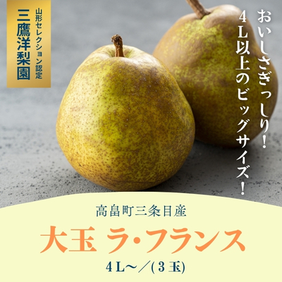 【予約販売】高畠町三条目産 ラ・フランス 大玉4L／3個