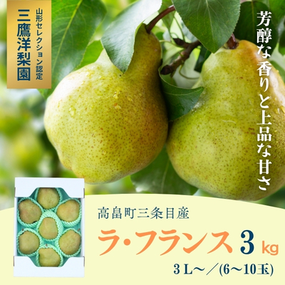 【予約販売】高畠町三条目産 ラ・フランス 3kg(6玉～10玉)