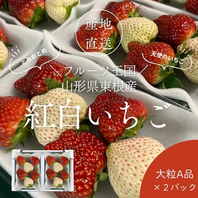 【産地直送便】東根産紅白いちご「とちおとめ／天使のいちご」(6～8粒)✕2P