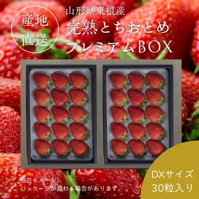 【産地直送便】東根産完熟「とちおとめ」プレミアムBOX(DX15粒)✕2P