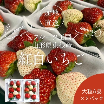 【産地直送便】東根産紅白いちご「とちおとめ／天使のいちご」(6～8粒)✕2P