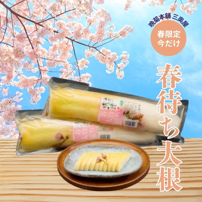 三奥屋／【季節限定】春待ち大根(半割1本)【冷蔵】