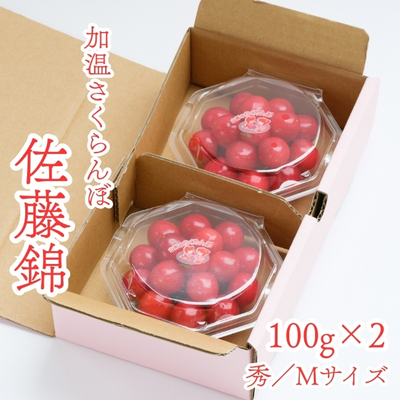 【産地直送】東根産／加温さくらんぼ佐藤錦100g&times;2(秀／M)