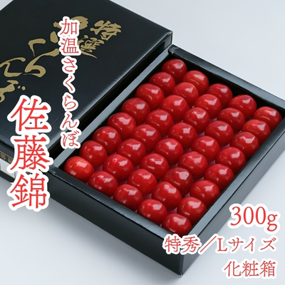【産地直送】東根産／加温さくらんぼ佐藤錦 300g鏡詰め化粧箱(特秀／L)