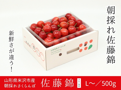 【FP1-2】朝採れ！米沢産さくらんぼ 佐藤錦 L／500g