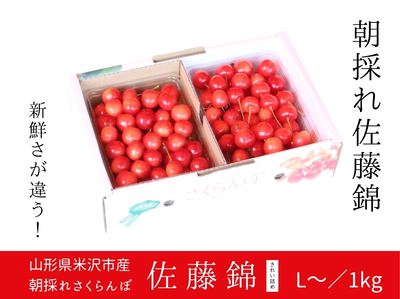 【FP1-3】朝採れ！米沢産さくらんぼ 佐藤錦 L／1kg