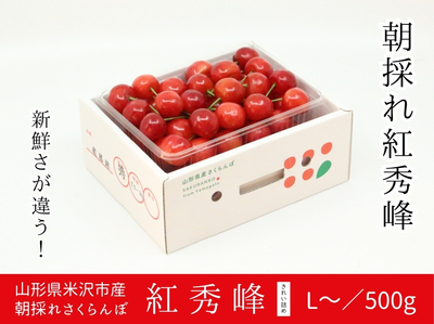 【FP1-6】朝採れ！米沢産さくらんぼ 紅秀峰 L／500g