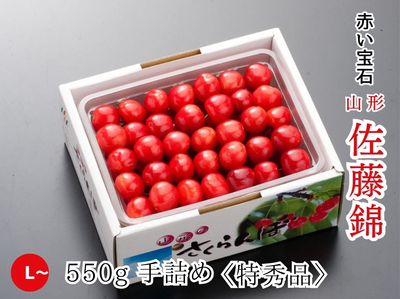 【HS-6】さくらんぼ 佐藤錦 L~特秀品／550g 手詰め